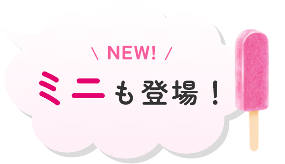 NEW! ミニも登場！